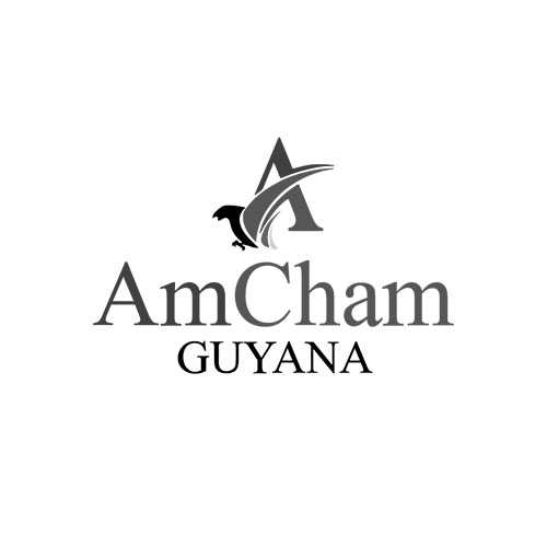 Logo - AmChan Guyana